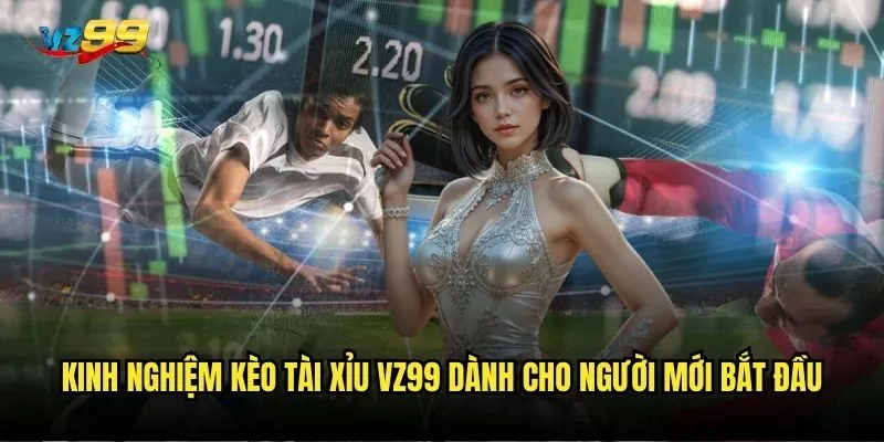 Kinh nghiệm kèo Tài Xỉu vz99 dành cho người mới bắt đầu